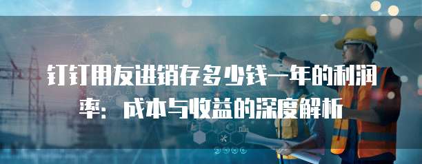 钉钉用友进销存多少钱一年的利润率：成本与收益的深度解析