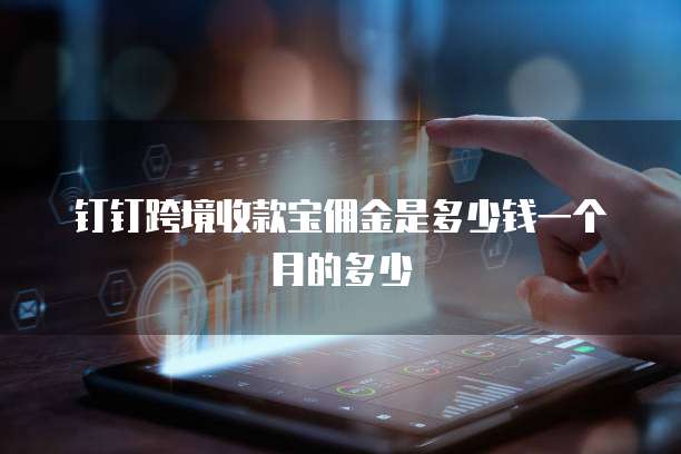 钉钉跨境收款宝佣金是多少钱一个月的多少