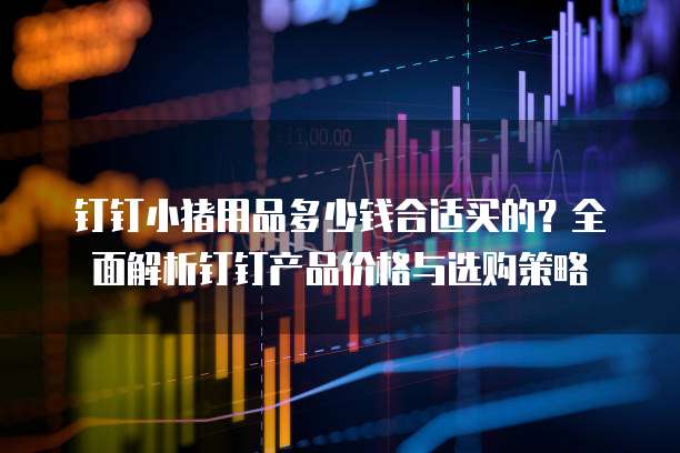 钉钉小猪用品多少钱合适买的?全面解析钉钉产品价格与选购策略