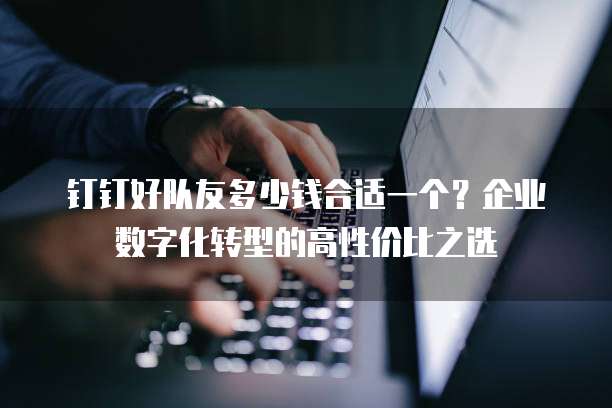 钉钉好队友多少钱合适一个?企业数字化转型的高性价比之选