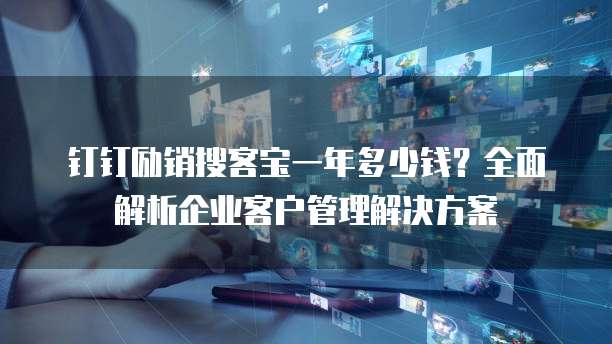 钉钉励销搜客宝一年多少钱?全面解析企业客户管理解决方案