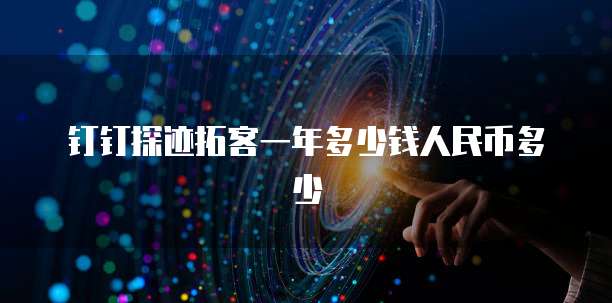 钉钉探迹拓客一年多少钱人民币多少