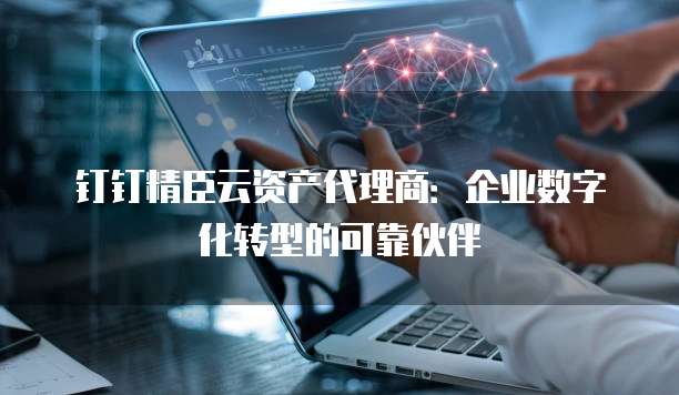 钉钉精臣云资产代理商:企业数字化转型的可靠伙伴