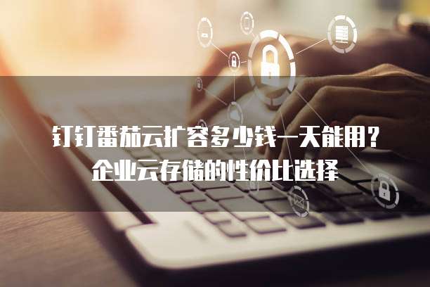 钉钉番茄云扩容多少钱一天能用?企业云存储的性价比选择