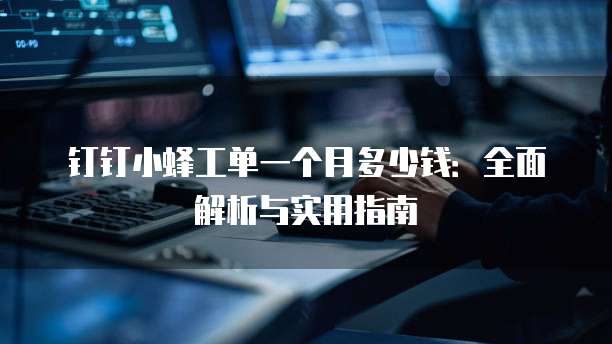 钉钉小蜂工单一个月多少钱:全面解析与实用指南