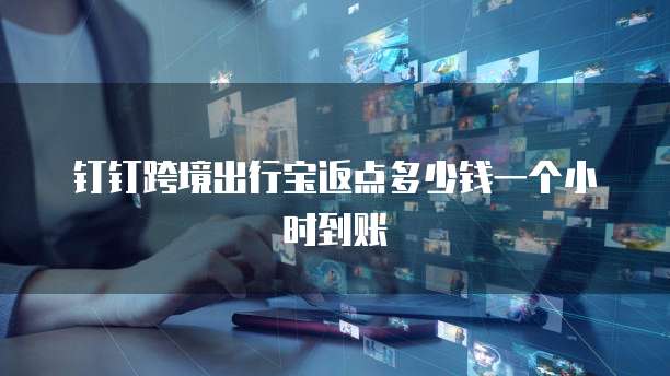 钉钉跨境出行宝返点多少钱一个小时到账