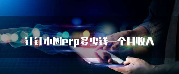 钉钉小圈erp多少钱一个月收入