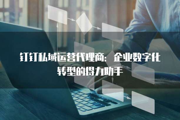 钉钉私域运营代理商:企业数字化转型的得力助手