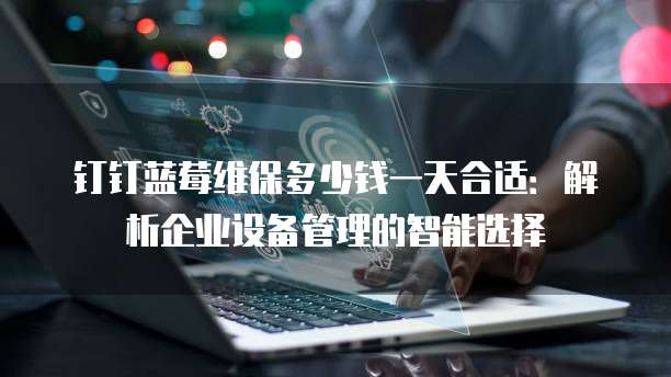 钉钉蓝莓维保多少钱一天合适:解析企业设备管理的智能选择
