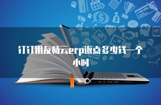 钉钉用友畅云erp返点多少钱一个小时