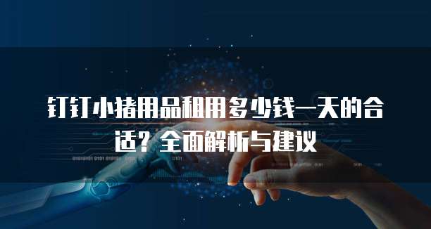 钉钉小猪用品租用多少钱一天的合适？全面解析与建议