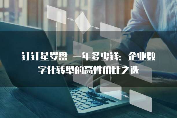 钉钉星罗盘 一年多少钱:企业数字化转型的高性价比之选