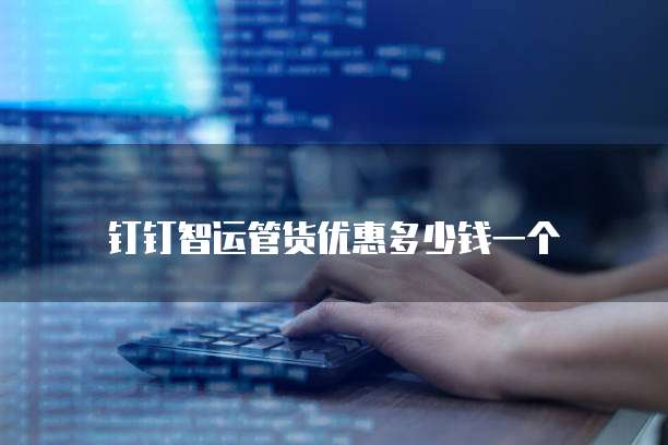 钉钉智运管货优惠多少钱一个