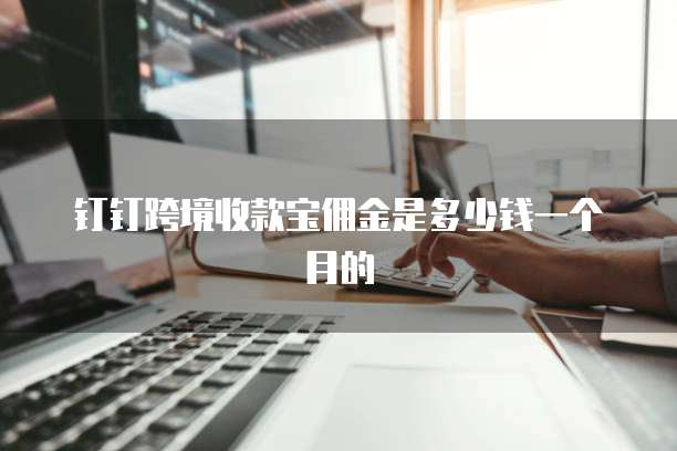 钉钉跨境收款宝佣金是多少钱一个月的
