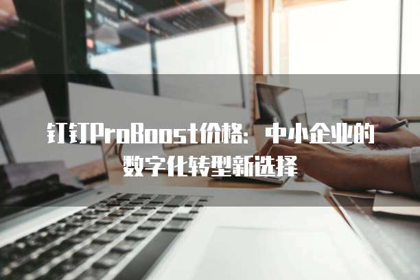 钉钉ProBoost价格：中小企业的数字化转型新选择