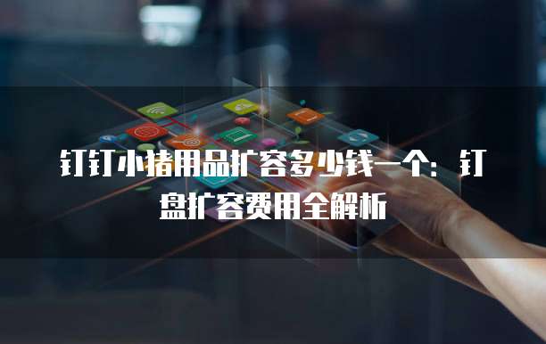 钉钉小猪用品扩容多少钱一个：钉盘扩容费用全解析