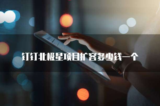 钉钉北极星项目扩容多少钱一个
