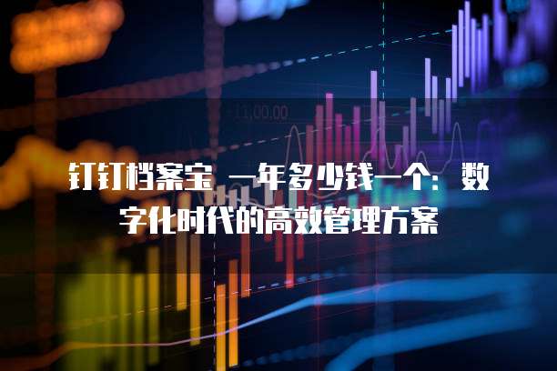 钉钉档案宝 一年多少钱一个:数字化时代的高效管理方案