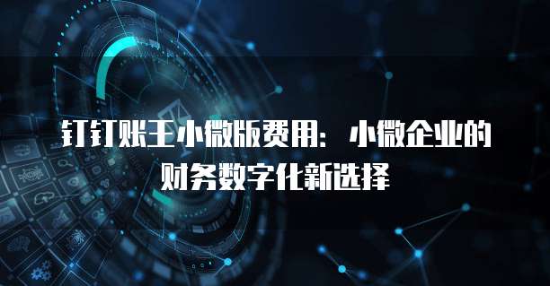 钉钉账王小微版费用：小微企业的财务数字化新选择