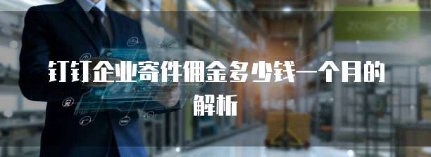 钉钉企业寄件佣金多少钱一个月的解析