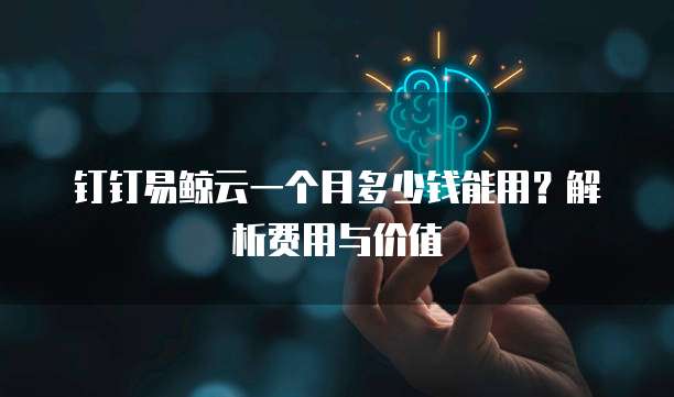 钉钉易鲸云一个月多少钱能用？解析费用与价值
