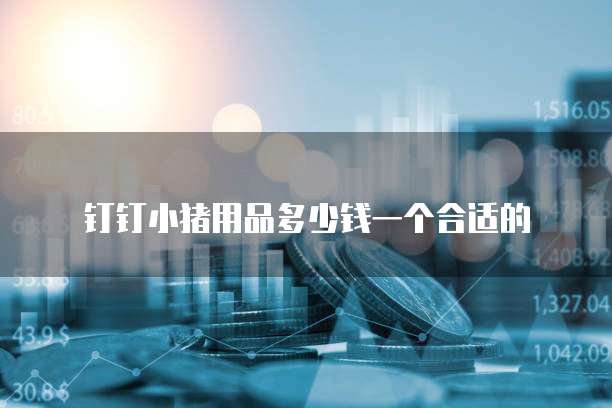 钉钉小猪用品多少钱一个合适的