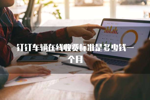 钉钉车辆在线收费标准是多少钱一个月