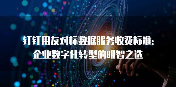 钉钉用友对标数据服务收费标准：企业数字化转型的明智之选
