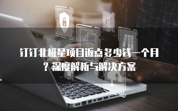 钉钉北极星项目返点多少钱一个月?深度解析与解决方案