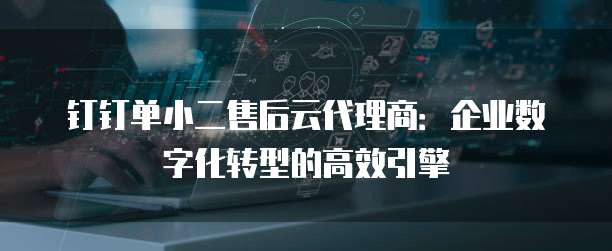 钉钉单小二售后云代理商：企业数字化转型的高效引擎