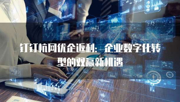 钉钉杭网优企返利：企业数字化转型的双赢新机遇