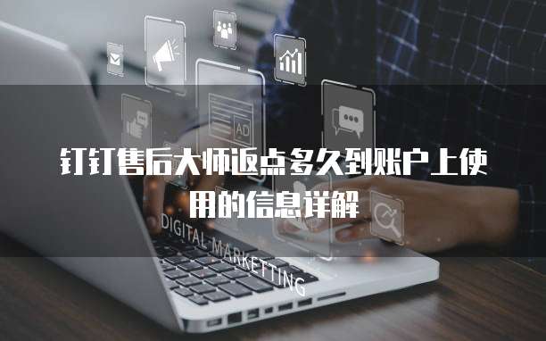 钉钉售后大师返点多久到账户上使用的信息详解