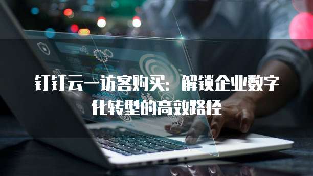钉钉云一访客购买:解锁企业数字化转型的高效路径