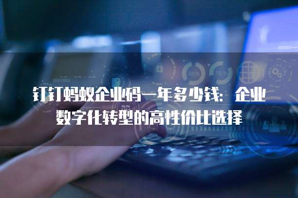 钉钉蚂蚁企业码一年多少钱：企业数字化转型的高性价比选择