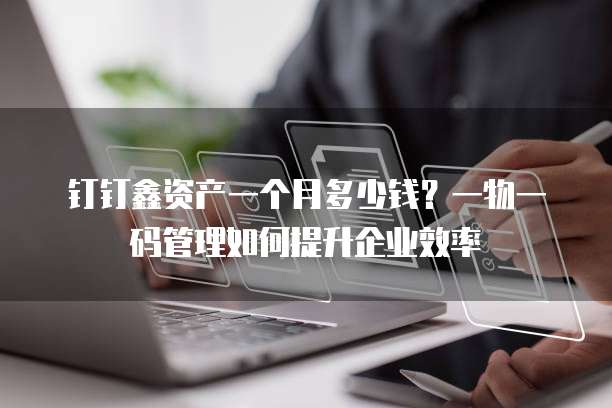 钉钉鑫资产一个月多少钱？一物一码管理如何提升企业效率
