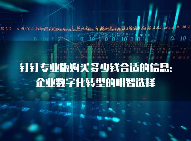 钉钉专业版购买多少钱合适的信息:企业数字化转型的明智选择