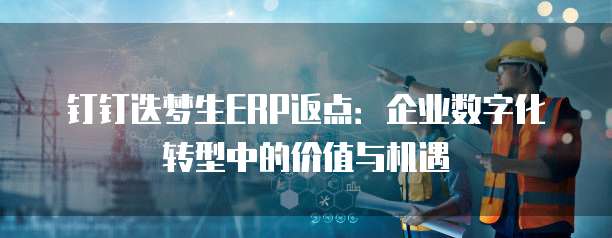 钉钉迭梦生ERP返点：企业数字化转型中的价值与机遇