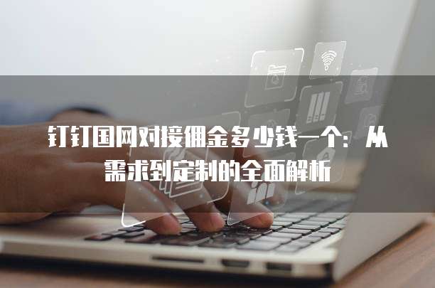 钉钉国网对接佣金多少钱一个：从需求到定制的全面解析
