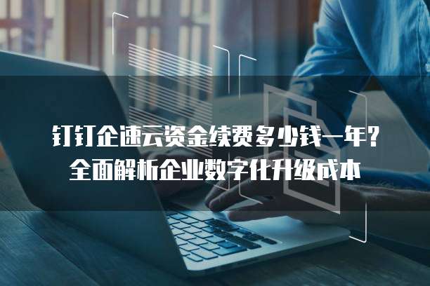 钉钉企速云资金续费多少钱一年?全面解析企业数字化升级成本
