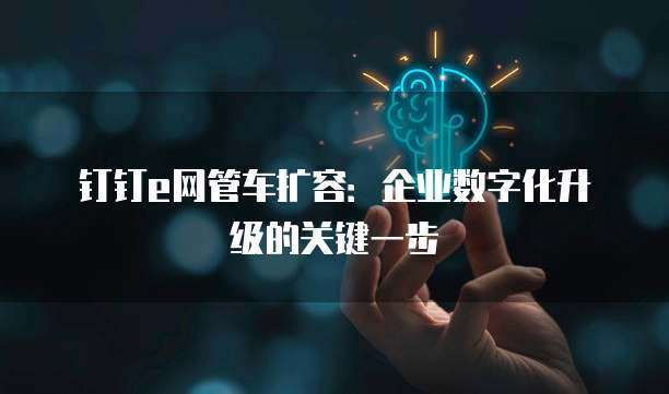 钉钉e网管车扩容:企业数字化升级的关键一步