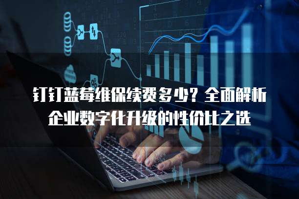 钉钉蓝莓维保续费多少?全面解析企业数字化升级的性价比之选