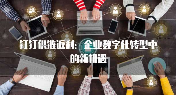 钉钉供链返利:企业数字化转型中的新机遇