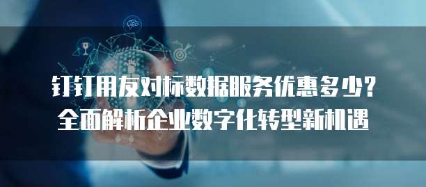 钉钉用友对标数据服务优惠多少?全面解析企业数字化转型新机遇