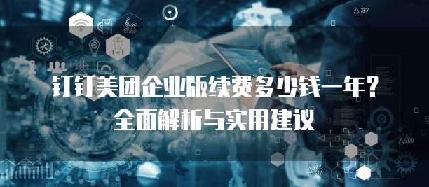 钉钉美团企业版续费多少钱一年?全面解析与实用建议