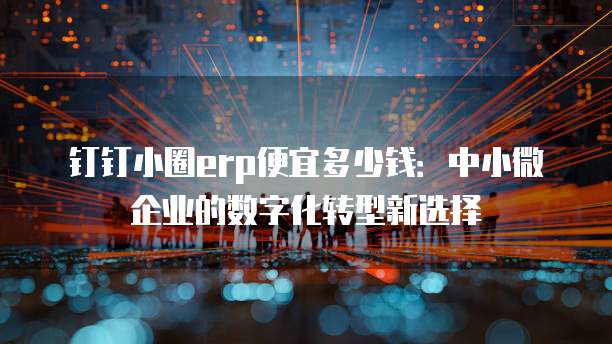 钉钉小圈erp便宜多少钱：中小微企业的数字化转型新选择