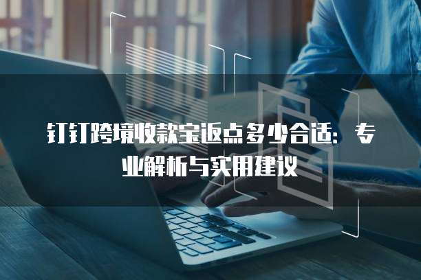 钉钉跨境收款宝返点多少合适：专业解析与实用建议