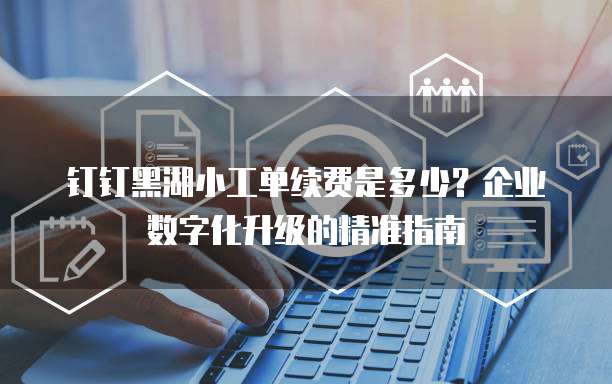 钉钉黑湖小工单续费是多少？企业数字化升级的精准指南