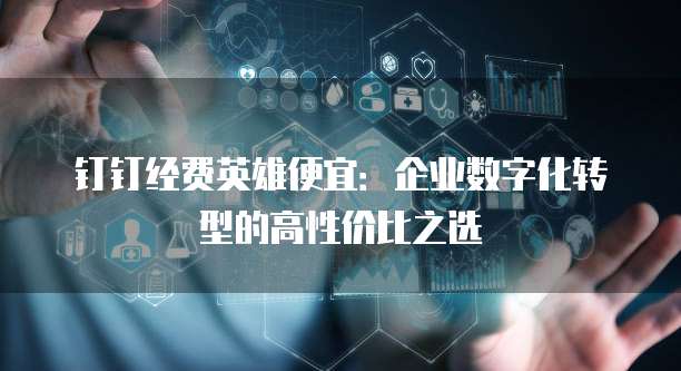 钉钉经费英雄便宜:企业数字化转型的高性价比之选