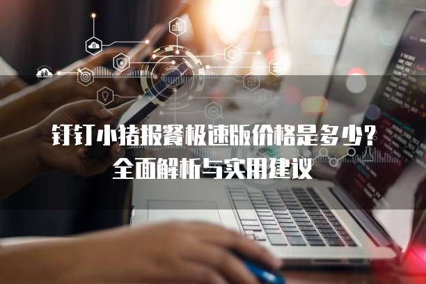 钉钉小猪报餐极速版价格是多少？全面解析与实用建议