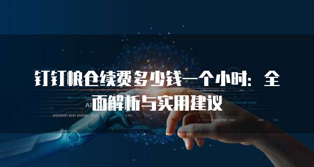 钉钉粮仓续费多少钱一个小时：全面解析与实用建议